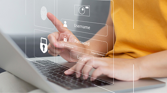 security screen stylized